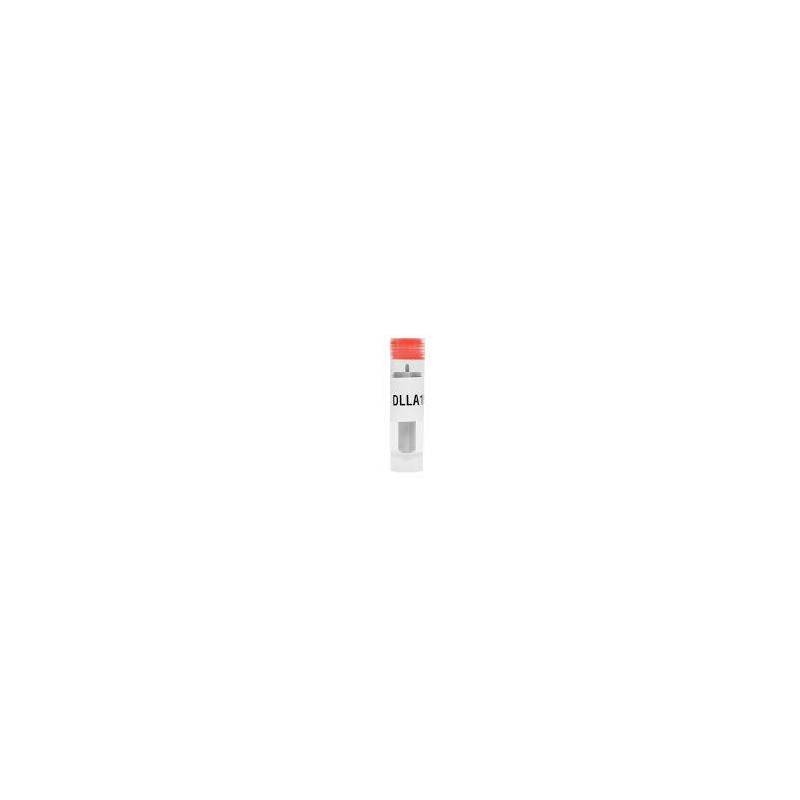 Diuza Injector DLLA150P71, 0433171071  - 1