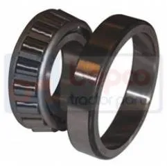 Rulment 30308, 6914526, 6960468, 7000029 Bepco - 1