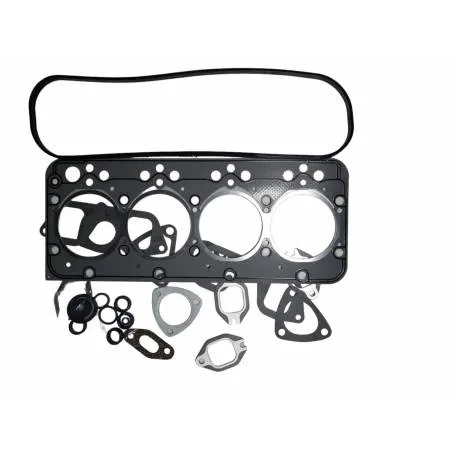 Set Garnituri Superioare Fiat Ø 100 MM, 1940031, A2203, 98499492, 99442636, LA4690351, LA98431960 Euron Gasket - 1