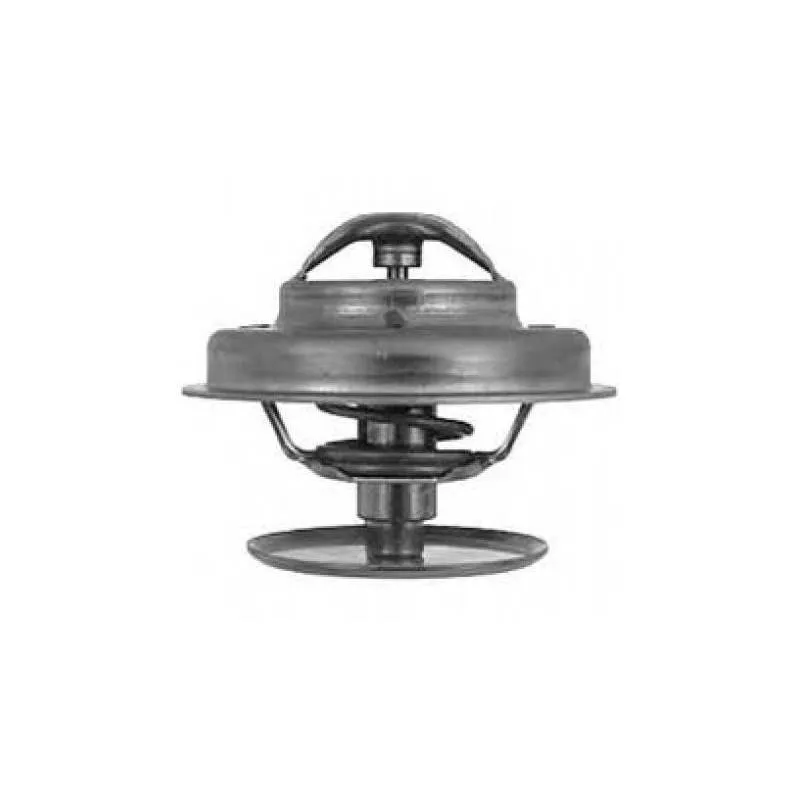 Termostat Mercedes OM 384.906 Mega - 1