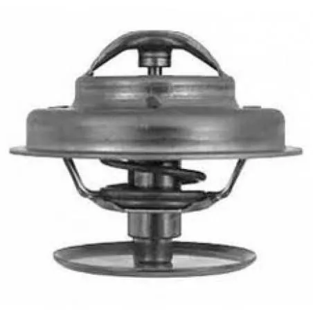 Termostat Mercedes OM 384.906 Mega - 1