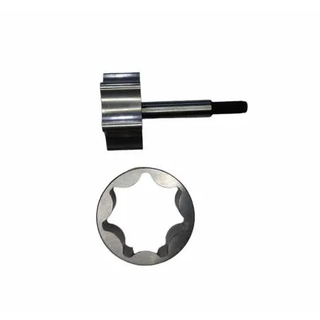 Kit Reparatie Pompa Ulei Ford 81823167, D0NN6608B, 24/92-9 Bepco - 1