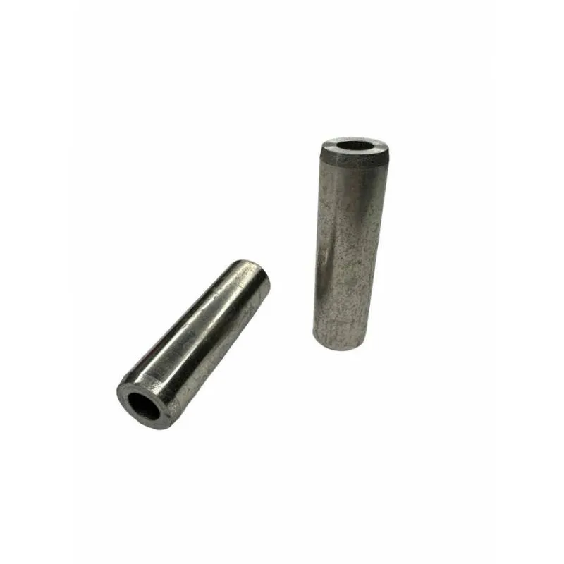 Ghid Supapa Chiuloasa Fendt 41-404, 04195708, 04800316 Bepco - 1