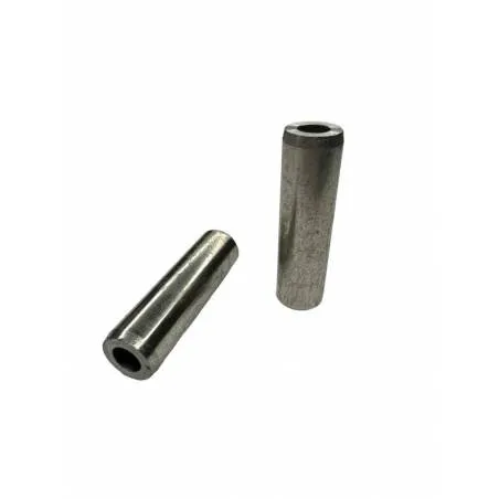 Ghid Supapa Chiuloasa Fendt 41-404, 04195708, 04800316 Bepco - 1