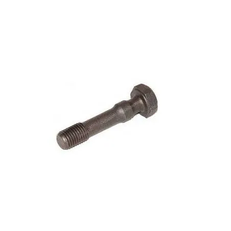 Surub Biela 26-92, F139207310421 Bepco - 1