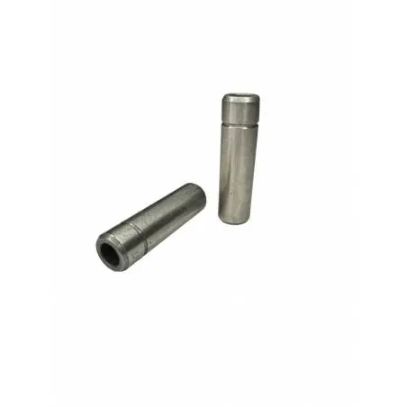 Ghid Supape Case 41-84, 375827A1 Bepco - 1