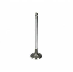 Supapa Admisie Fiat Ø 38.60 x 9.00 mm - L 119.60 mm - 45 °, 4550815 GB Ricambi - 1