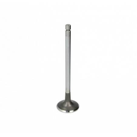 Supapa Admisie Fiat Ø 38.60 x 9.00 mm - L 119.60 mm - 45 °, 4550815 GB Ricambi - 1