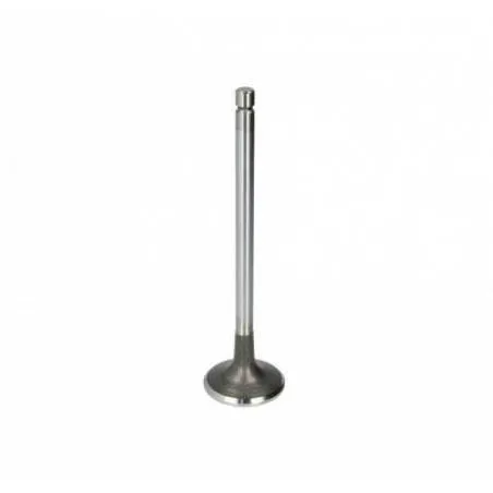 Supapa Admisie Fiat Ø 38.60 x 9.00 mm - L 119.60 mm - 45 °, 4550815 GB Ricambi - 1