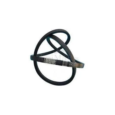 Curea Combina Deutz-Fahr 17.0X02921 LI, 01145093 Roflex - 1