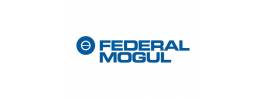 FEDERAL MOGUL